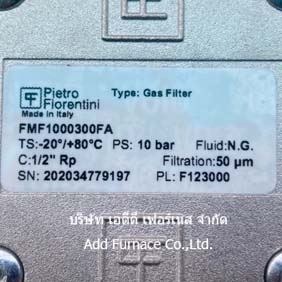 Pietro Fiorentini Gas Filter FMF1000300FA